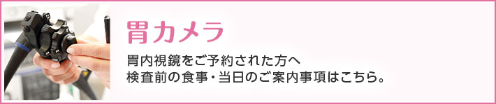 胃カメラ